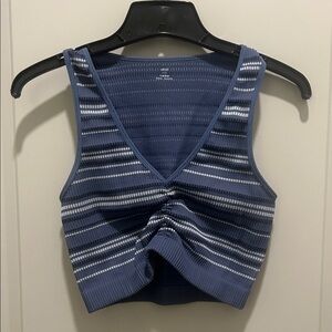 Aerie Blue and White Striped Bra Top